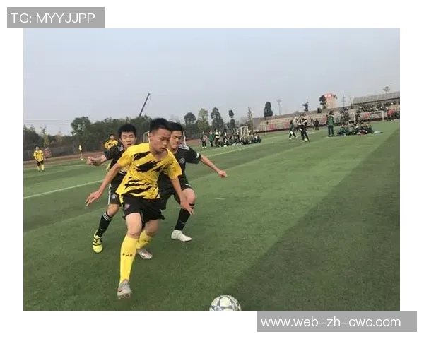 足球比赛中的激情与团结：一场青春的盛宴与梦想的追逐